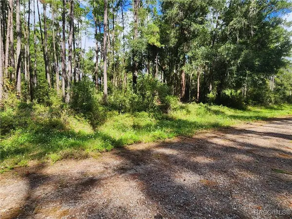 1093 Vercelli LN, Dunnellon, FL 34434