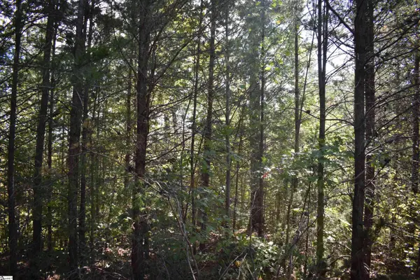 0 Holland Drive, Columbus, NC 28722