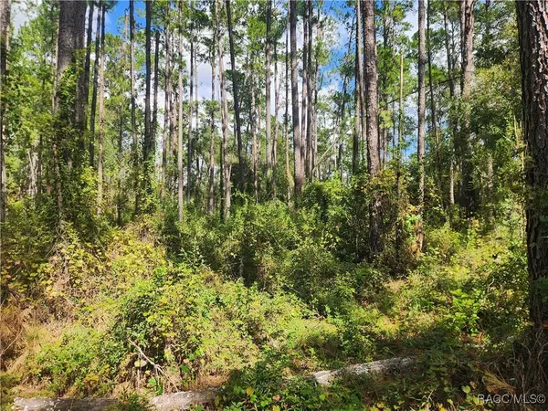 1093 Vercelli LN, Dunnellon, FL 34434