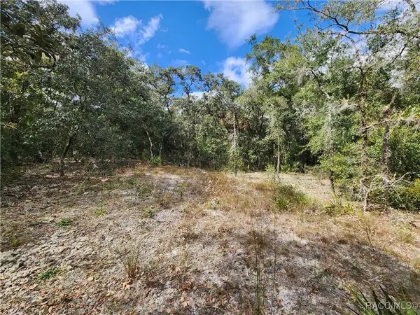 7399 W Edwardian ST, Dunnellon, FL 34433