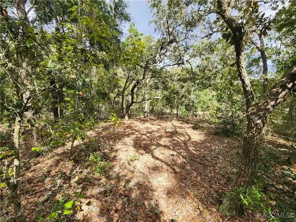 7399 W Edwardian ST, Dunnellon, FL 34433