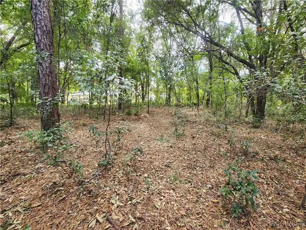 8630 N Catapane LOOP, Crystal River, FL 34428