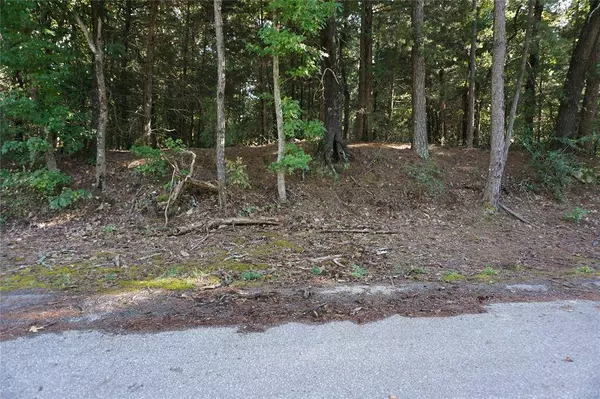 TBD County Road 3847, Hawkins, TX 75765