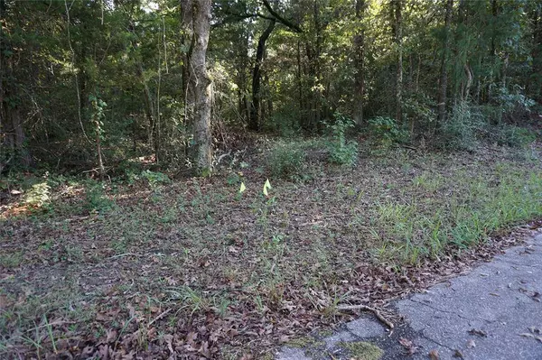 TBD County Road 3847, Hawkins, TX 75765