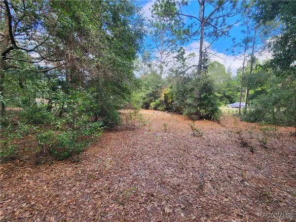 8630 N Catapane LOOP, Crystal River, FL 34428