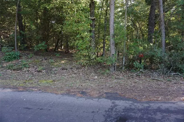 TBD County Road 3847, Hawkins, TX 75765