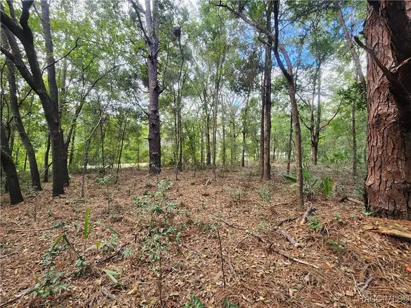 8630 N Catapane LOOP, Crystal River, FL 34428