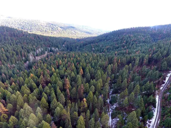 Lot 1213S INGRAM CREEK FOREST SERVICE RD, Rock Creek, BC V0H1Y0