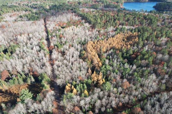 12.51 AC STAR LAKE RD, WI 54560