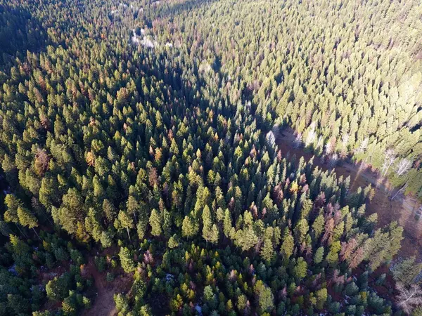 Lot 1213S INGRAM CREEK FOREST SERVICE RD, Rock Creek, BC V0H1Y0