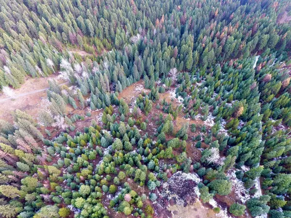 Lot 1213S INGRAM CREEK FOREST SERVICE RD, Rock Creek, BC V0H1Y0