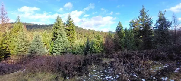 Lot 1213S INGRAM CREEK FOREST SERVICE RD, Rock Creek, BC V0H1Y0