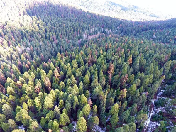 Lot 1213S INGRAM CREEK FOREST SERVICE RD, Rock Creek, BC V0H1Y0