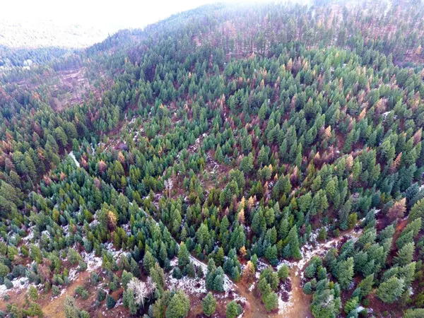 Lot 1213S INGRAM CREEK FOREST SERVICE RD, Rock Creek, BC V0H1Y0