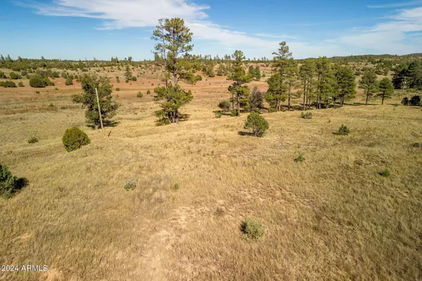 5502 ROAD TO THE PAST -- #-, Pinedale, AZ 85934