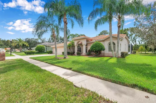 1310 KINGS WAY LN, Tarpon Springs, FL 34688