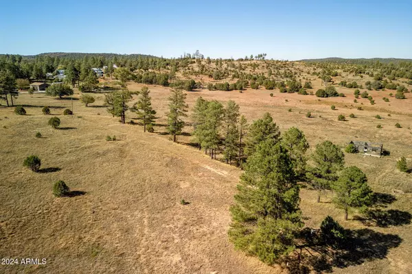 5502 ROAD TO THE PAST -- #-, Pinedale, AZ 85934