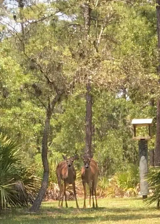 8991 LONG LAKE AVE, Weeki Wachee, FL 34613