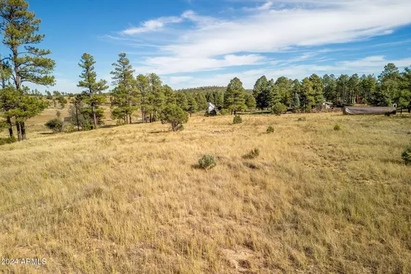 5502 ROAD TO THE PAST -- #-, Pinedale, AZ 85934