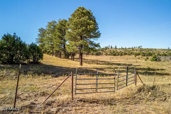 5502 ROAD TO THE PAST -- #-, Pinedale, AZ 85934