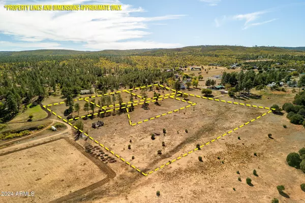 5502 ROAD TO THE PAST -- #-, Pinedale, AZ 85934