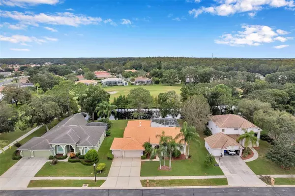 1310 KINGS WAY LN, Tarpon Springs, FL 34688