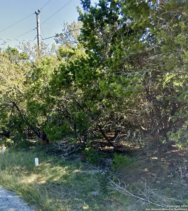 1242 ECHO MEADOW LN, Spring Branch, TX 78070