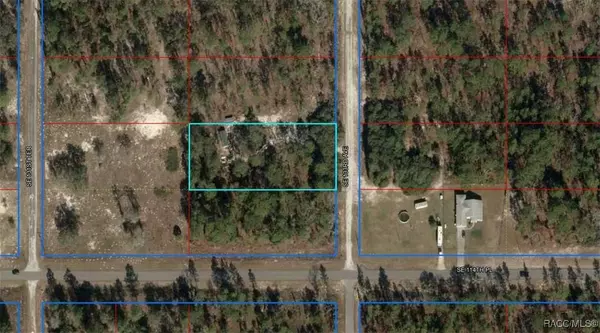 tbd 133rd AVE, Dunnellon, FL 34431