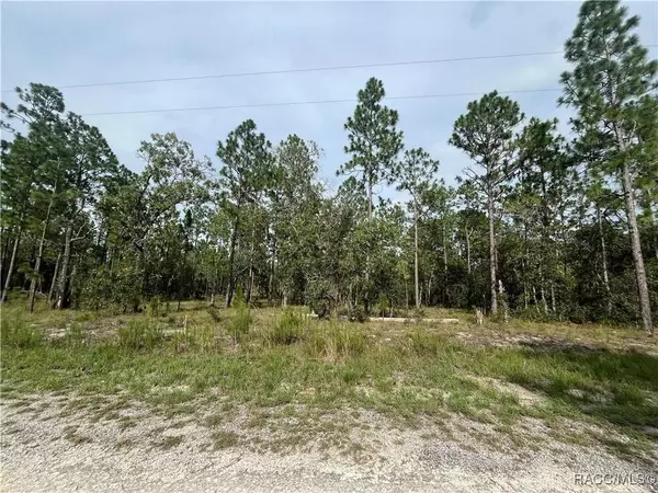 tbd 133rd AVE, Dunnellon, FL 34431
