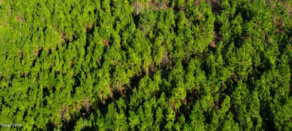 TBD NW Willow Bend, Altha, FL 32421