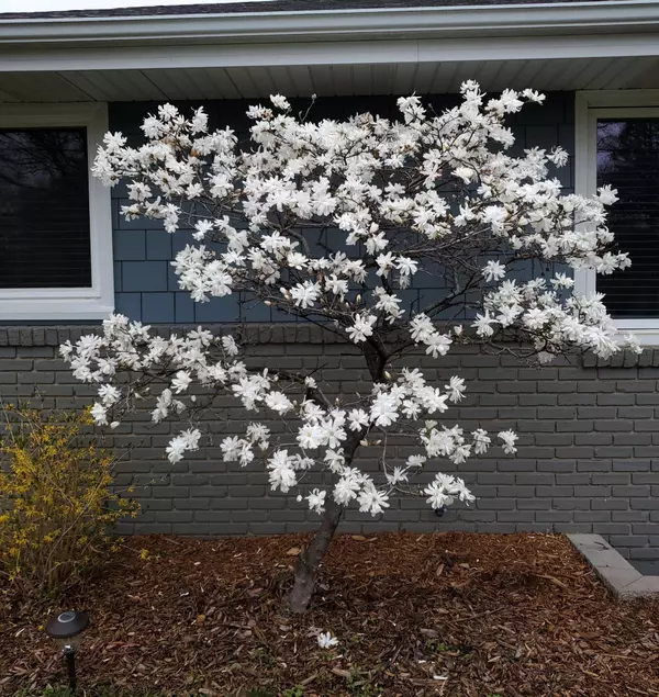 1900 Sumter AVE N, Golden Valley, MN 55427