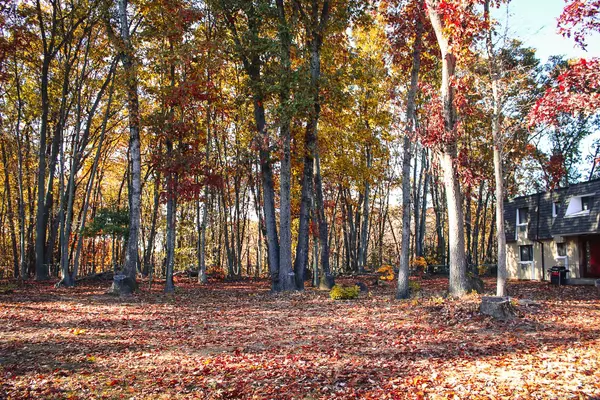 116 High Path Road #116, Windsor, CT 06095