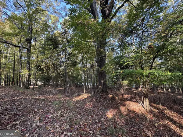 0 Piedmont Lake Road, Pine Mountain, GA 31822