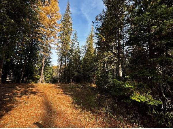 1081 Tacoma Creek Rd, Cusick, WA 99119