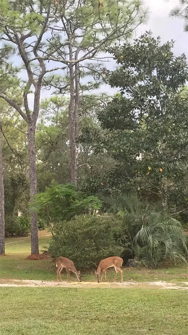 8991 LONG LAKE AVE, Weeki Wachee, FL 34613