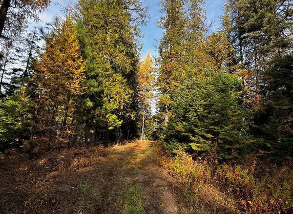 1081 Tacoma Creek Rd, Cusick, WA 99119