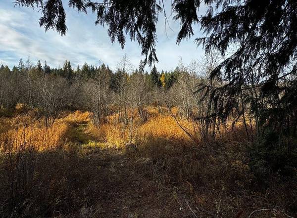 1081 Tacoma Creek Rd, Cusick, WA 99119