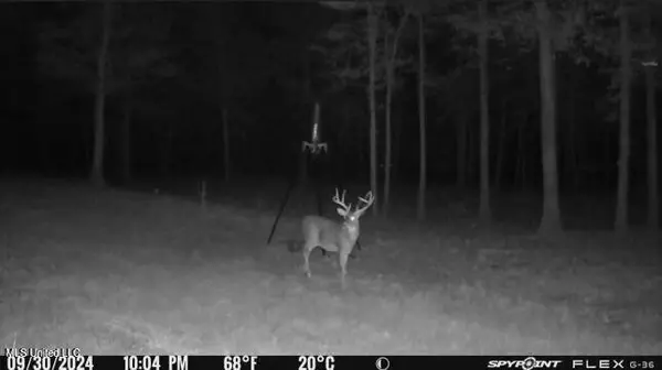 0 Moncure Road, Terry, MS 39170