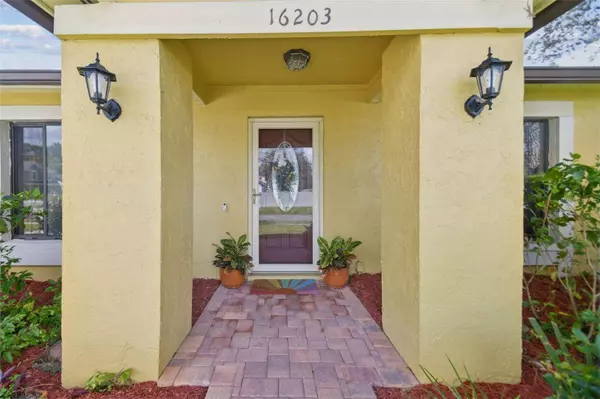 16203 SAWGRASS CIR, Tampa, FL 33624