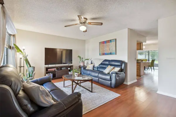 16203 SAWGRASS CIR, Tampa, FL 33624