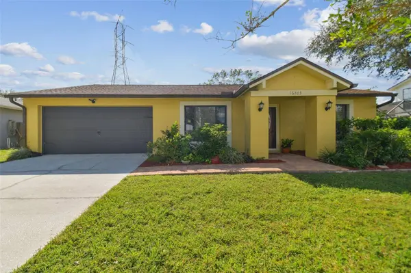 16203 SAWGRASS CIR, Tampa, FL 33624