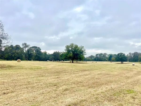 TBD 13.865 Acres Gathings Avenue, Covington, TX 76636