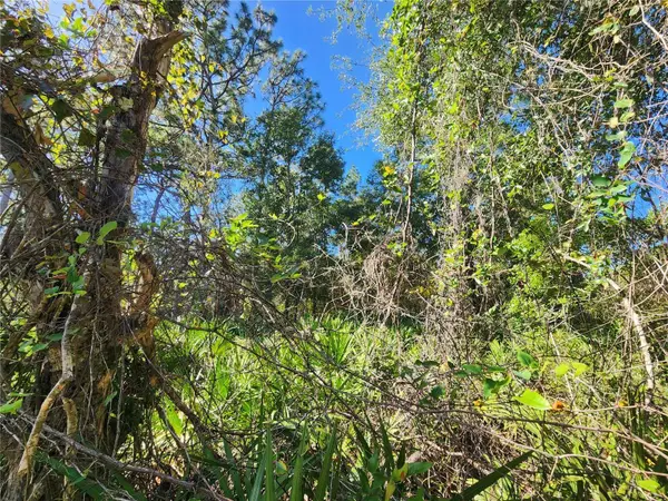 6984 W POLARIS CT, Homosassa, FL 34446