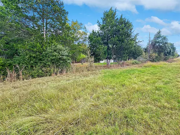 377 FM 1209, Bastrop, TX 78602