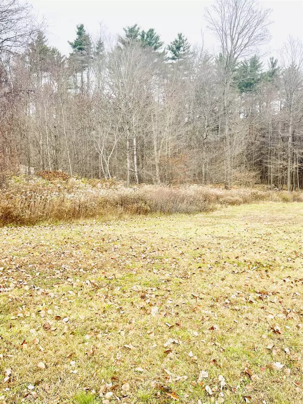 716 Ball Mountain RD, Arlington, VT 05250