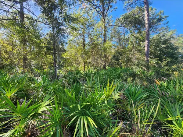 6984 W POLARIS CT, Homosassa, FL 34446