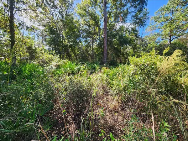 6984 W POLARIS CT, Homosassa, FL 34446