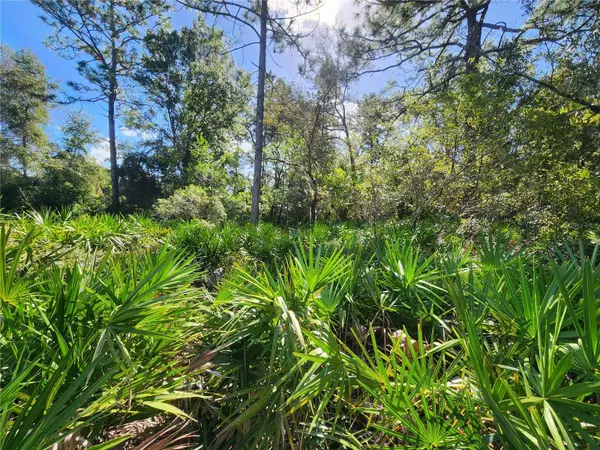 6984 W POLARIS CT, Homosassa, FL 34446