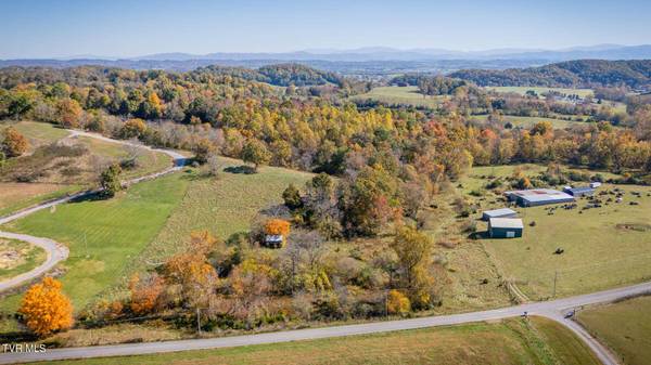 Tbd Pleasant Grove RD, Limestone, TN 37681