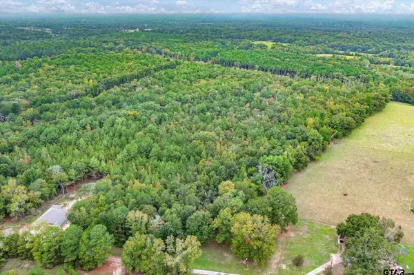 TBD (8.138 Acr) County Road 152 E, Tyler, TX 75703